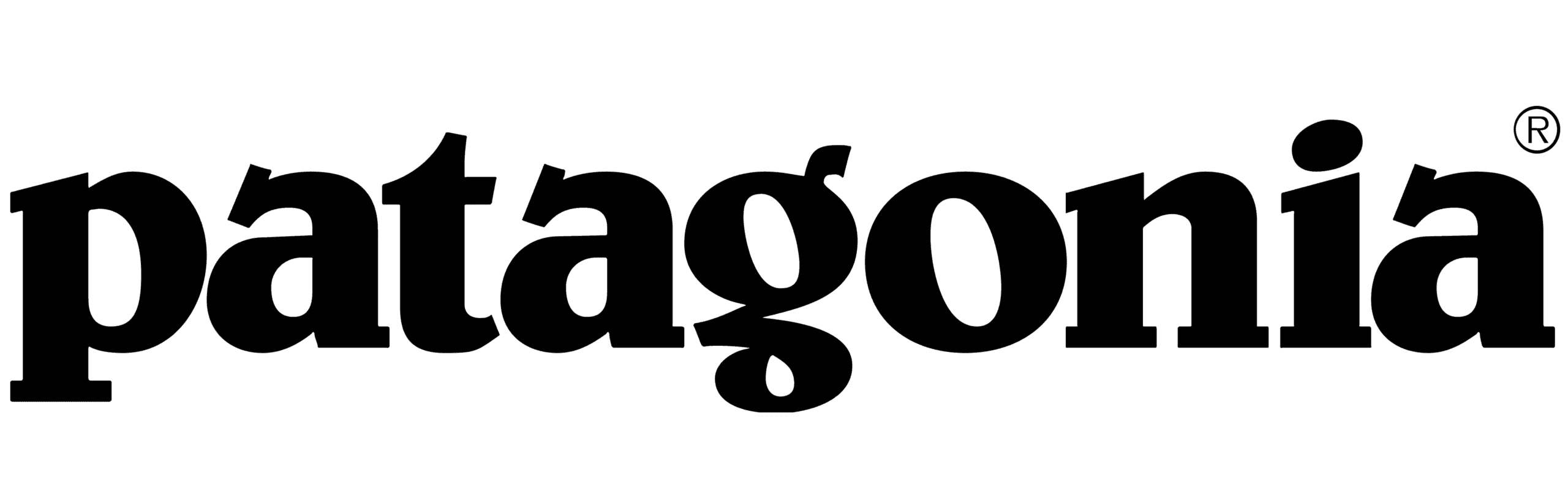 ClimbOot Partners 1 Patagonia Logo edited scaled